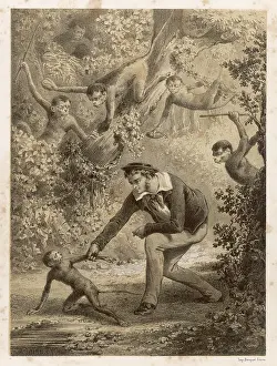 Captures: WILD MONKEY CAPTURED
