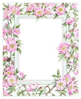 Mariana: Wild Rose Border