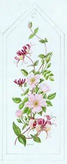 Bovey: Wild Roses and Honeysuckle