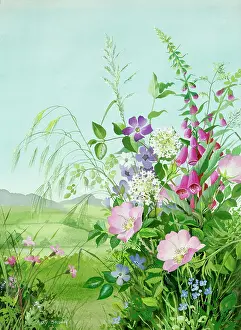 Periwinkle: Wild roses, periwinkle, foxglove, forget-me-nots in landscap