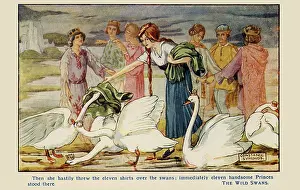 Transform: The Wild Swans
