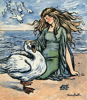 Transform: The Wild Swans