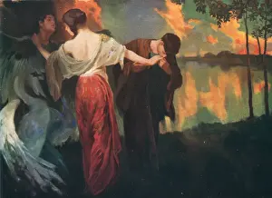 Masriera: The Wild Swans