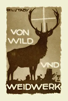Stags: From wild and woodcraft