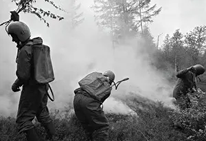 Sverdlov: Wildfire