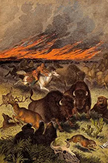 Wildfire: Wildfire, Native Americans, Buffalo, Illustration