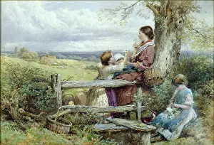 Stile: The Wildflower Gatherers