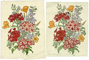 Wildflowers: Two Wildflower studies