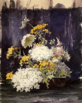 Wildflowers: Wildflowers