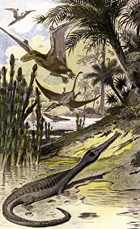 Jura: Wildlife of the Mesozoic era