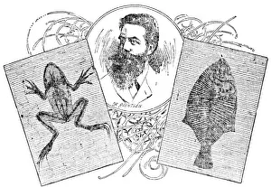 Detected: Wilhelm Konrad Roentgen, German Physicist, Discoverer of X-R