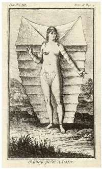 Wilkins: WILKINS BIRDWOMAN