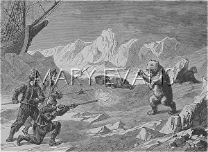 Gavan: Willem Barents polar expedition