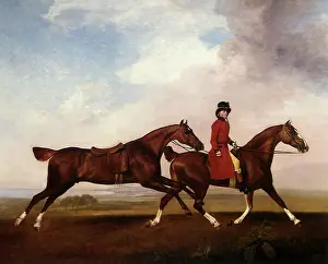 Trot: William Anderson Riding, by Stubbs