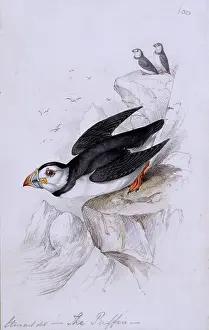 Bartram: William Bartram's letter to Robert Barclay, 1788