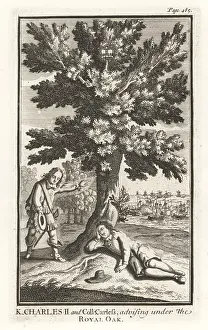 Cavaliers: William Careless hiding King Charles II in an oak tree, 1651