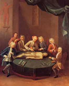 Procedure: William Cheselden, Anatomoist
