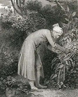 Cowper: William Cowper