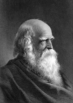 Savery: WILLIAM CULLEN BRYANT
