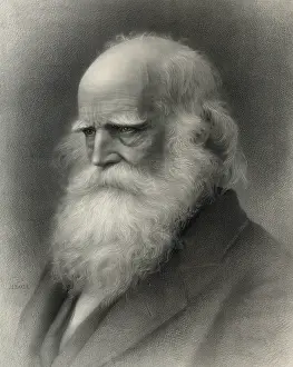 Bryant: William Cullen Bryant