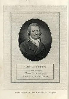 Londinensis: William Curtis, author of the Flora Londinensis