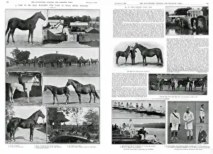 Mares: William Hall Walker's stud farm at Tully House