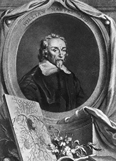 Milestone: William Harvey, English Physician