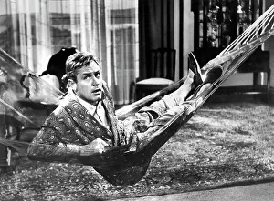 Sabrina: William Holden - actor