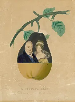 Puns: William IV A Windsor Pear