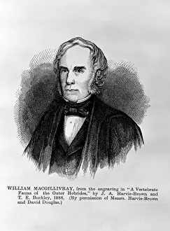 Ornithologist: William MacGillivray (1796-1851)