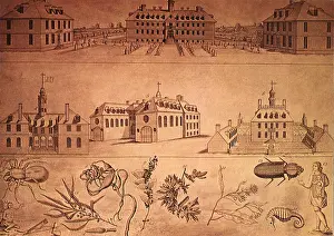 Wren: William and Mary College and Indian School