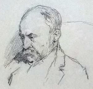 Landscaping: William Robinson - Irish practical gardener and journalist