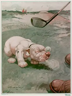Golfing: William Tell, Junr. by George Studdy