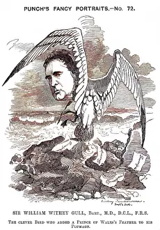 WILLIAM WHITNEY GULL