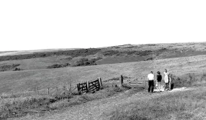 Willingdon: Willingdon, the Downs c1955