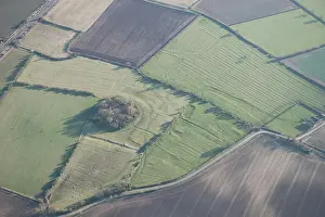 Fishpond: Willoughby, Nottinghamshire
