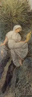 Entity: WILLOW TREE FAIRY