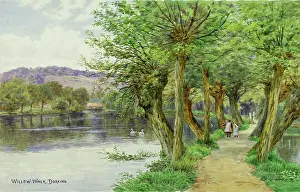 Dorking: Willow Walk, Dorking, Surrey
