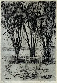 Raalte: Three Willows