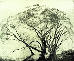 Gruner: The Willows