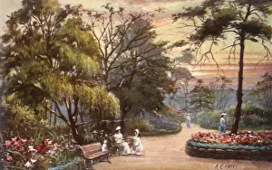 Willows: Willows and Bench in Park