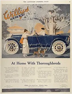 Thoroughbreds: WILLYS KNIGHT