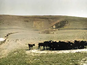 Thiscolourisedpic: WILMINGTON LONG MAN