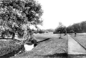 Wilmslow: Wilmslow, the view from Lime Walk 1897