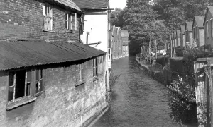 Wylye: Wilton, River Wylye c1955