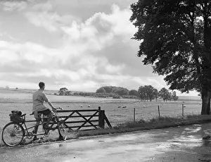 Downland: WILTSHIRE DOWNLAND