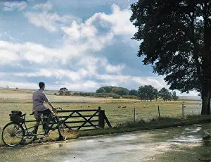 Downland: WILTSHIRE DOWNLAND