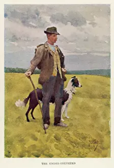 Farmworkers: WILTSHIRE SHEPHERD