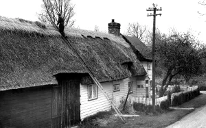 C1960: Wimbish, Aldridge's Cottage c1960