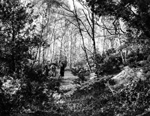 WIMBLEDON COMMON